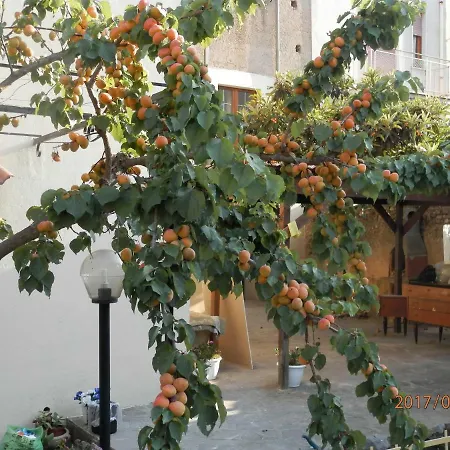 Palazzo L'occaso * Castrovillari